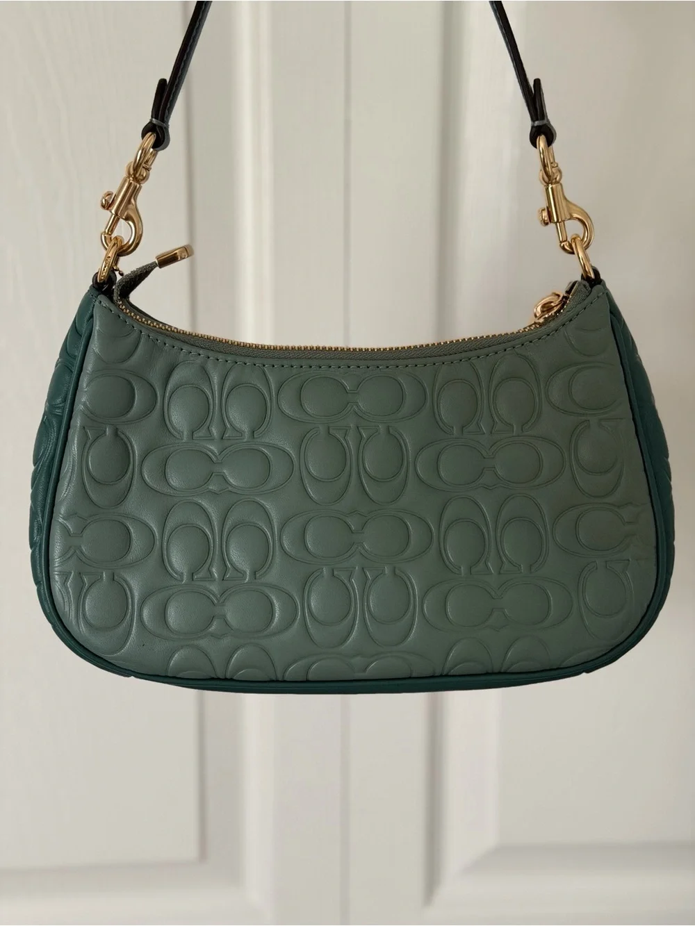 Coach Teri Shoulder Bag Sage & Dark Turquoise (CY674) Blocked Signature Leather